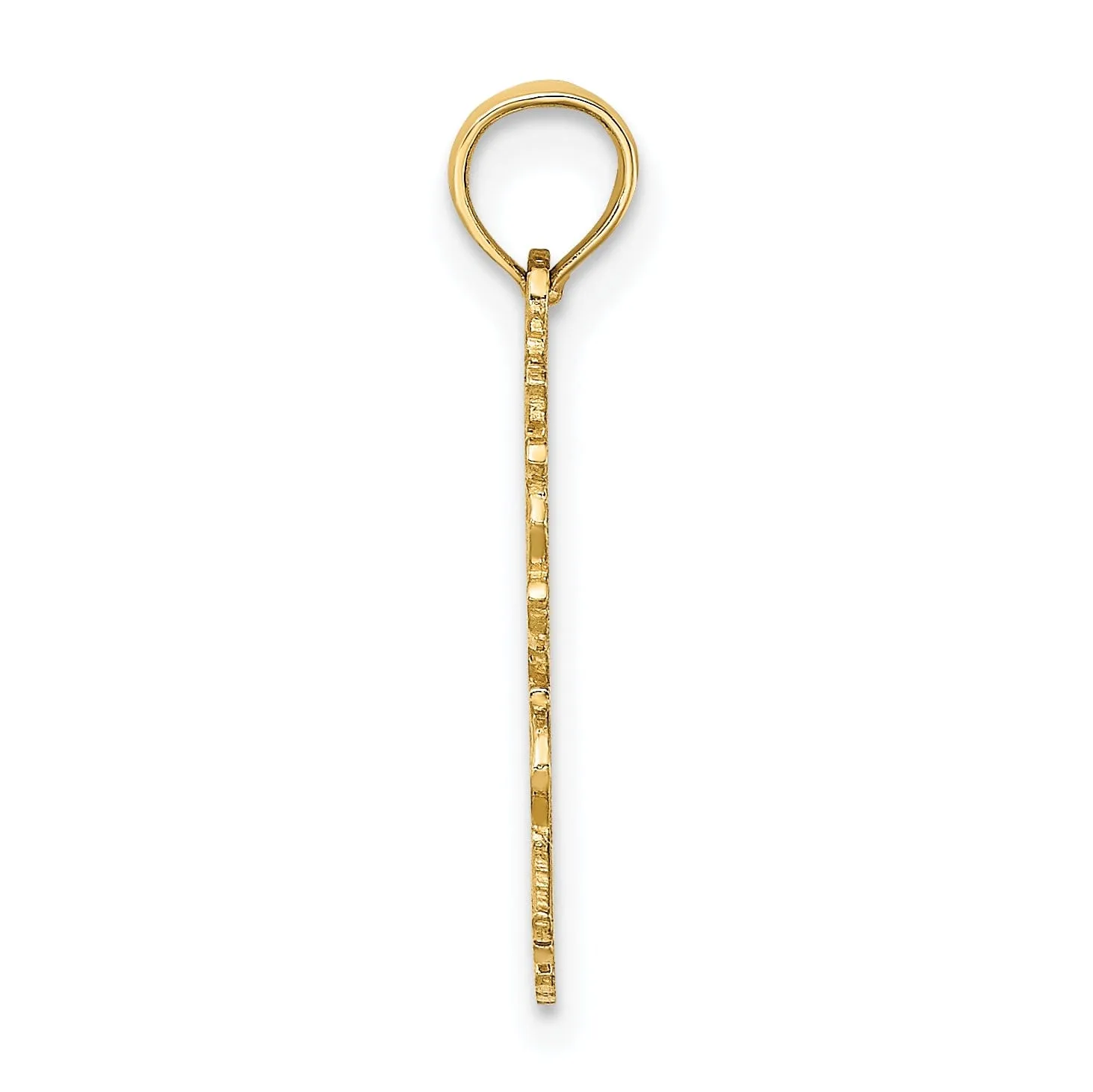 14K Yellow Gold Polished Textured Finish 100% Zodiac GEMINI Charm Pendant
