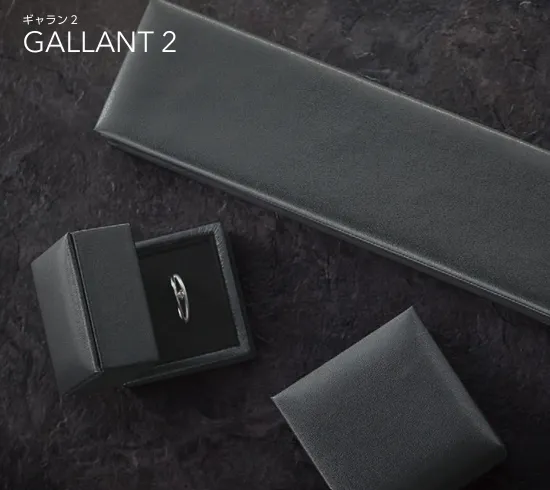 Case for rings, for wide rings, for high price GALLANT2 series, 12 pieces, AR-RL805GA