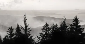Elegant Layers III