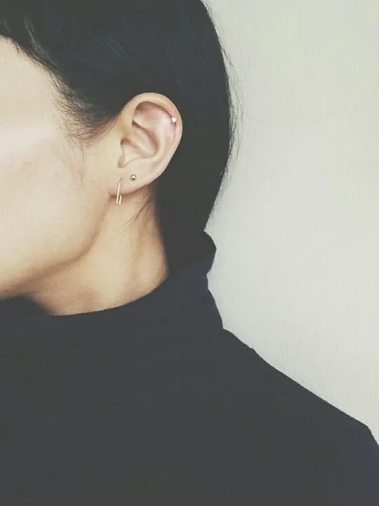 Nepheliad Hook Earrings